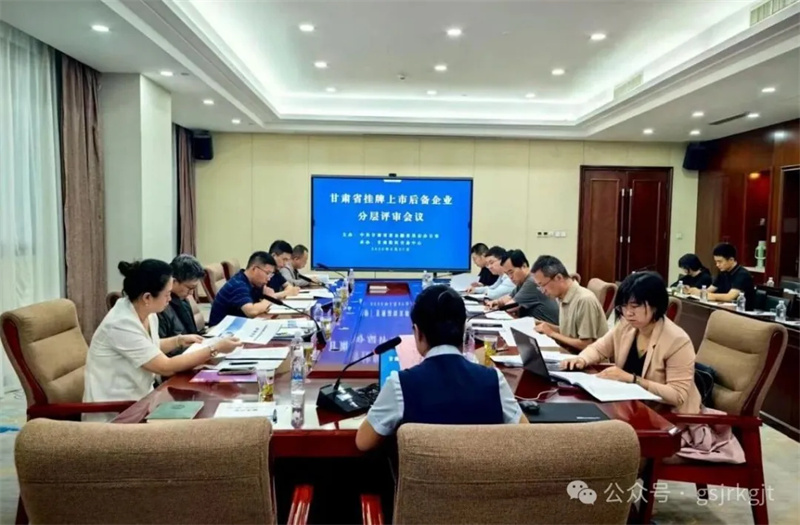 【深化“三抓三促”行動(dòng)】甘肅股權(quán)交易中心有序開展上市后備企業(yè)庫入庫評審全力打造資本市場“隴軍梯隊(duì)”